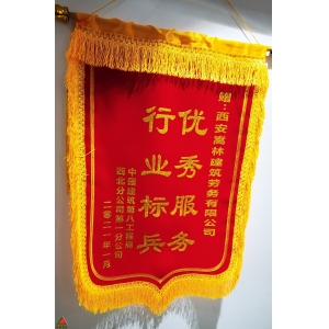 優(yōu)秀服務(wù)行業(yè)標(biāo)兵